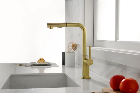 Смеситель для кухни Paulmark Neo Ne214419-SBG